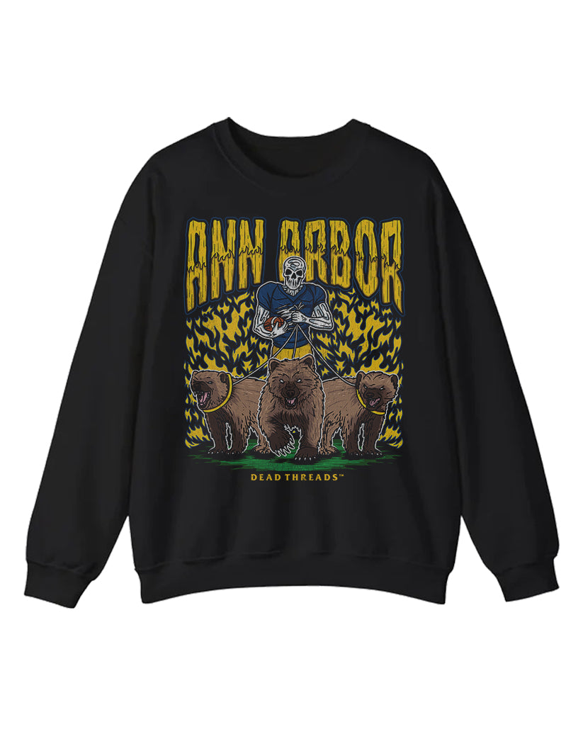 ANN ARBOR FOOTBALL CREWNECK SWEATSHIRT