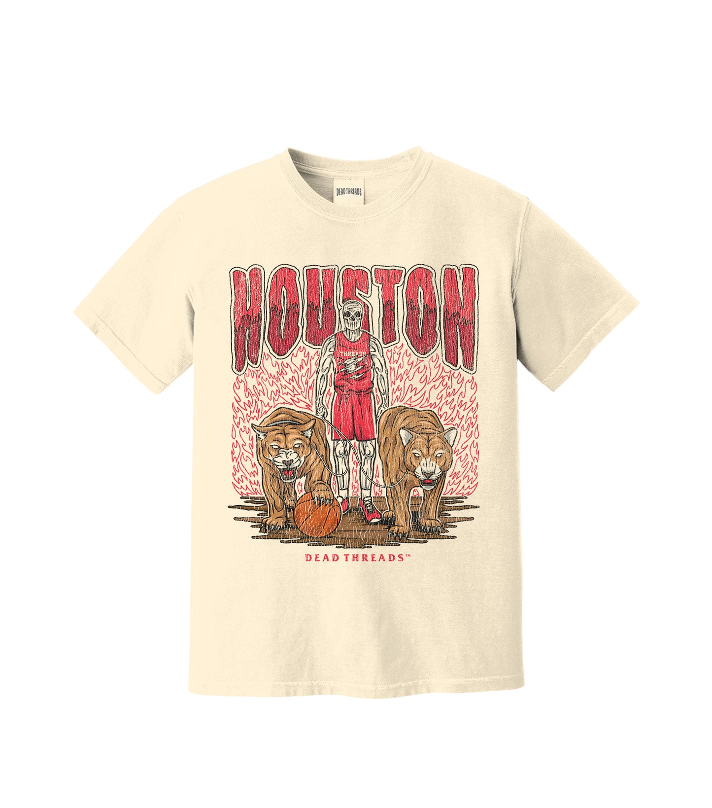HOUSTON BASKETBALL