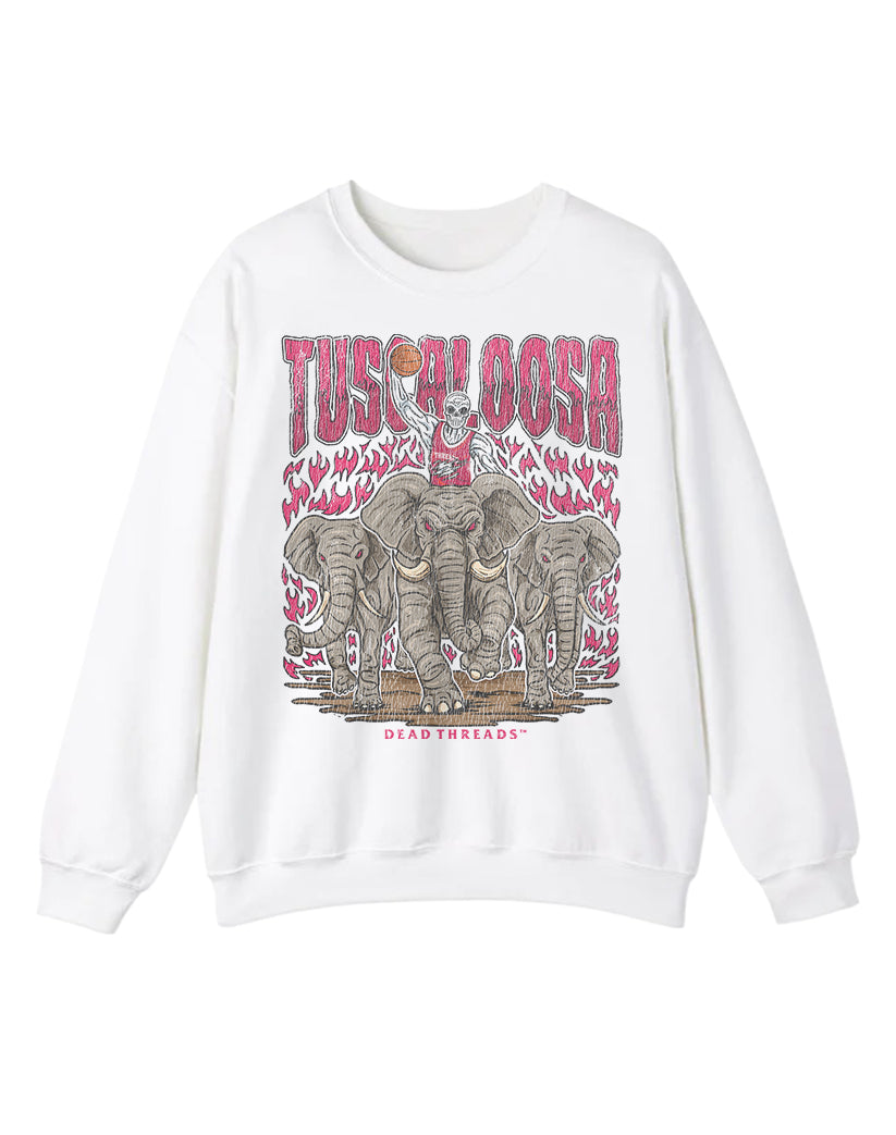 TUSCALOOSA BASKETBALL