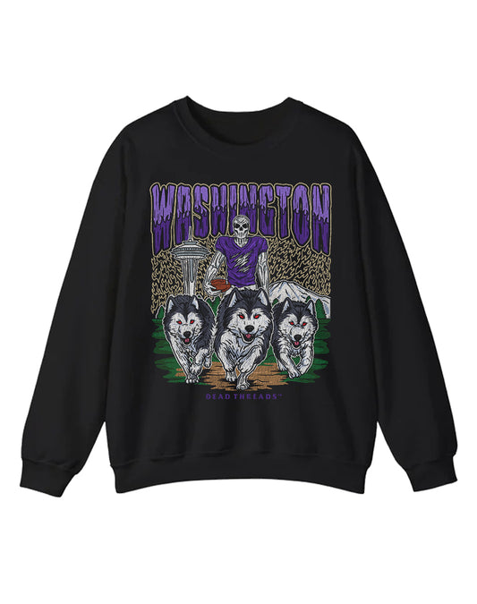 WASHINGTON FOOTBALL CREWNECK SWEATSHIRT