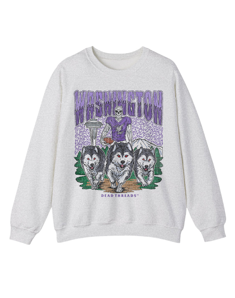 WASHINGTON FOOTBALL CREWNECK SWEATSHIRT