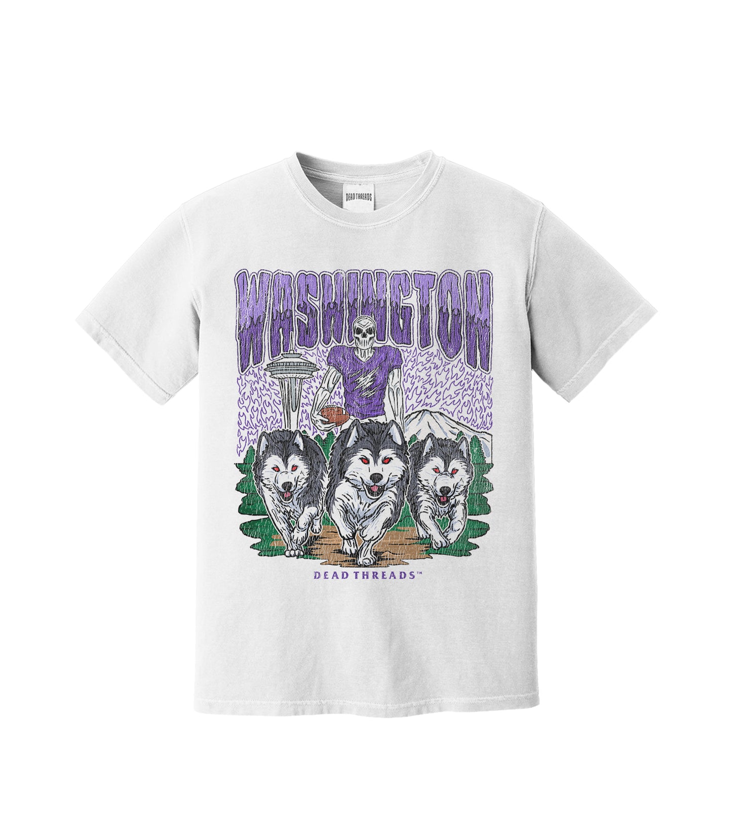 WASHINGTON FOOTBALL