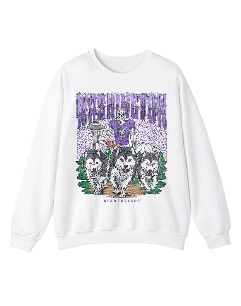 WASHINGTON FOOTBALL CREWNECK SWEATSHIRT
