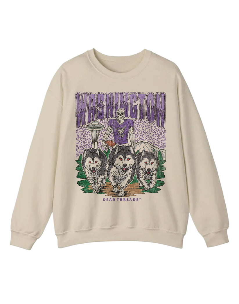 WASHINGTON FOOTBALL CREWNECK SWEATSHIRT