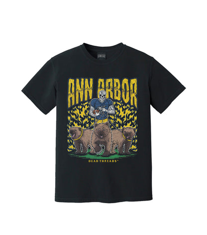 ANN ARBOR FOOTBALL