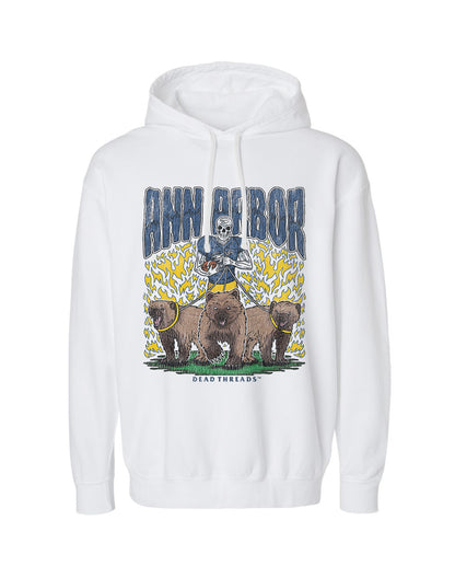 ANN ARBOR FOOTBALL - LIGHTWEIGHT HOODIE