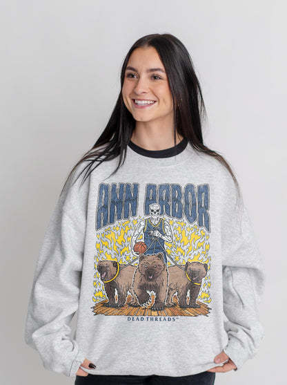 ANN ARBOR BASKETBALL CREWNECK SWEATSHIRT