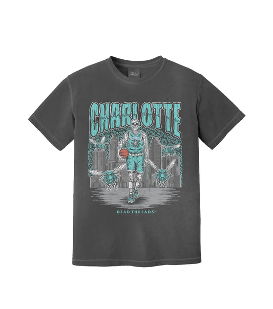 CHARLOTTE BASKETBALL