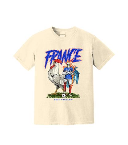 FRANCE SOCCER