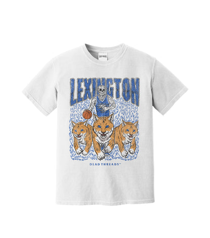 LEXINGTON BASKETBALL