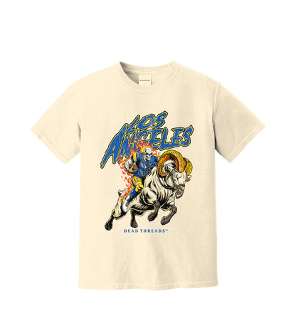 LOS ANGELES FOOTBALL v2