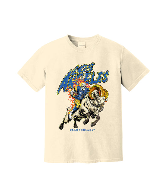 LOS ANGELES FOOTBALL v2