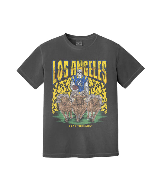 LOS ANGELES FOOTBALL