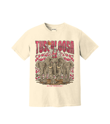 TUSCALOOSA BASKETBALL