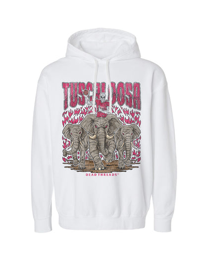TUSCALOOSA FOOTBALL - LIGHTWEIGHT HOODIE