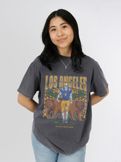 LOS ANGELES FOOTBALL