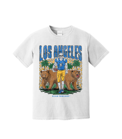 LOS ANGELES FOOTBALL