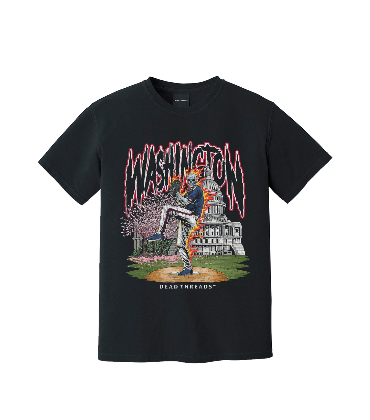 WASHINGTON BASEBALL