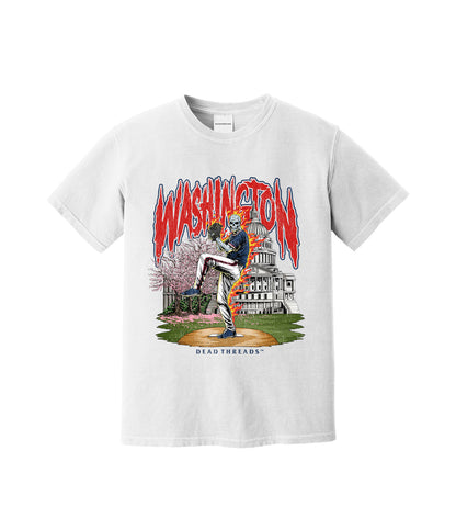 WASHINGTON BASEBALL