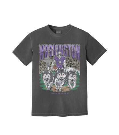 WASHINGTON FOOTBALL