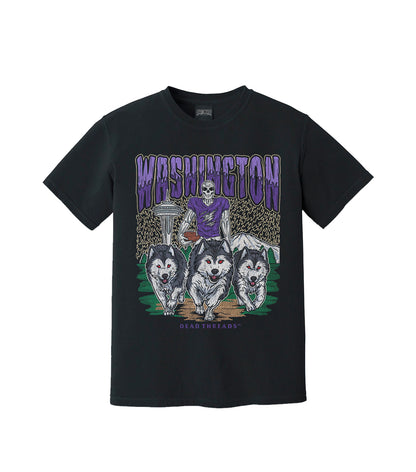 WASHINGTON FOOTBALL