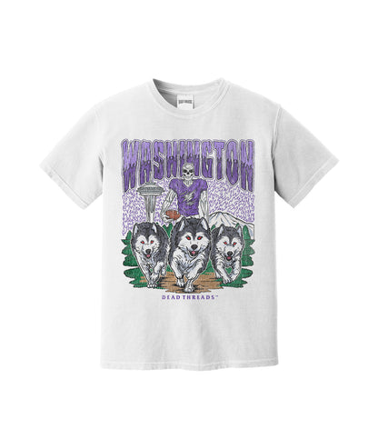 WASHINGTON FOOTBALL