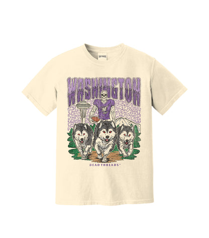 WASHINGTON FOOTBALL
