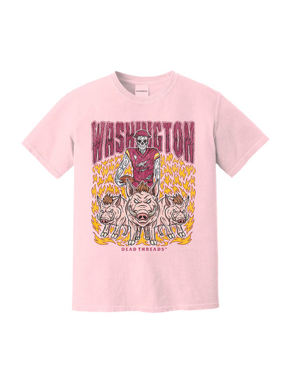 WASHINGTON FOOTBALL v1 - PINK