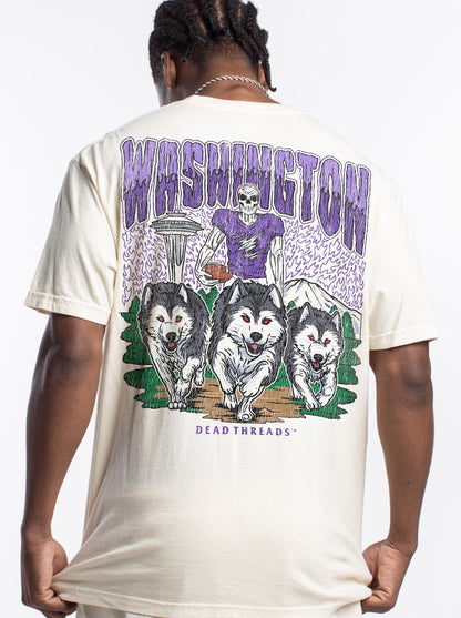 WASHINGTON FOOTBALL - “3 SKULL” PREMIUM T-SHIRT