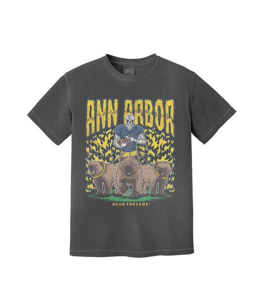 ANN ARBOR FOOTBALL – T-Shirt – Dead Threads Apparel