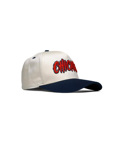 CHICAGO HAT (LIMITED DROP) – – Dead Threads Apparel