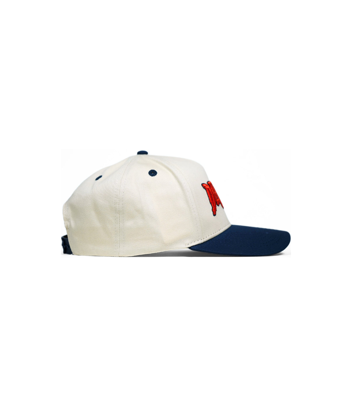 DENVER HAT (LIMITED DROP) – – Dead Threads Apparel