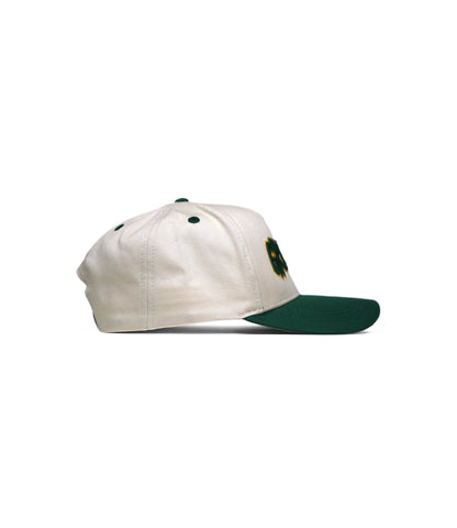 GREEN BAY HAT (LIMITED DROP) – – Dead Threads Apparel