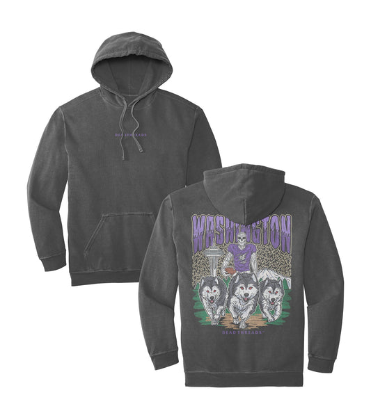 WASHINGTON FOOTBALL - “DT ESSENTIAL" HOODIE – Hoodie – Dead Threads Apparel