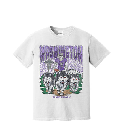 WASHINGTON FOOTBALL – T-Shirt – Dead Threads Apparel
