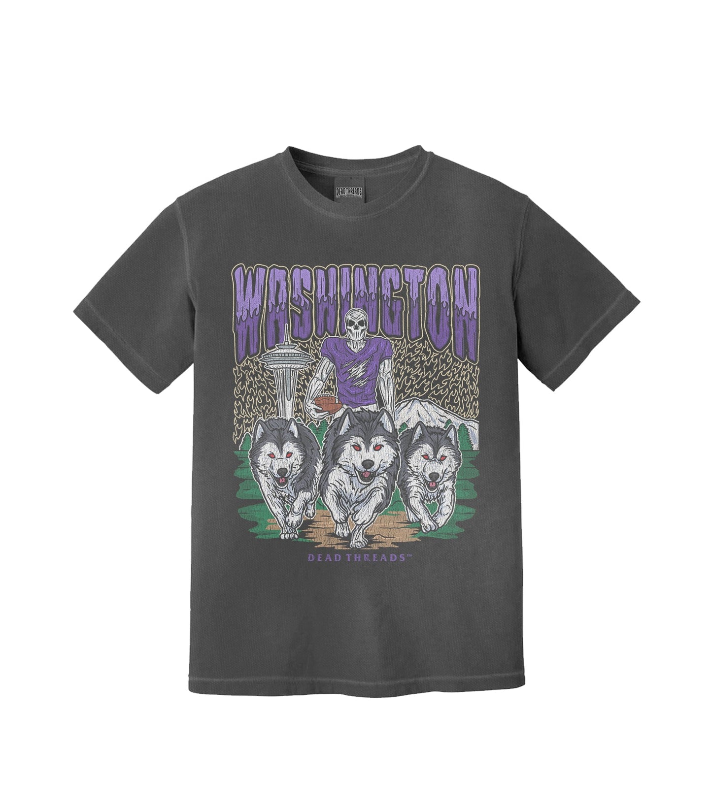 WASHINGTON FOOTBALL – T-Shirt – Dead Threads Apparel