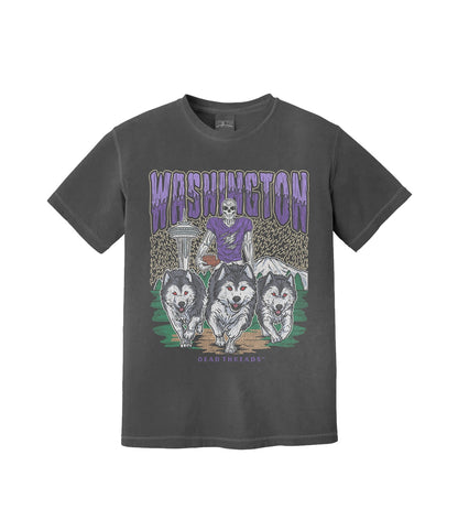 WASHINGTON FOOTBALL – T-Shirt – Dead Threads Apparel
