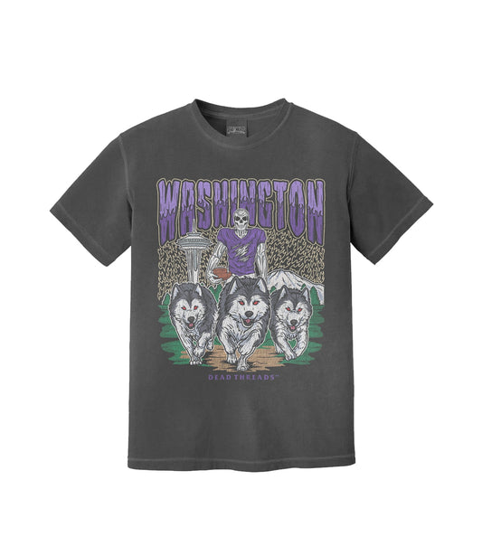 WASHINGTON FOOTBALL – T-Shirt – Dead Threads Apparel