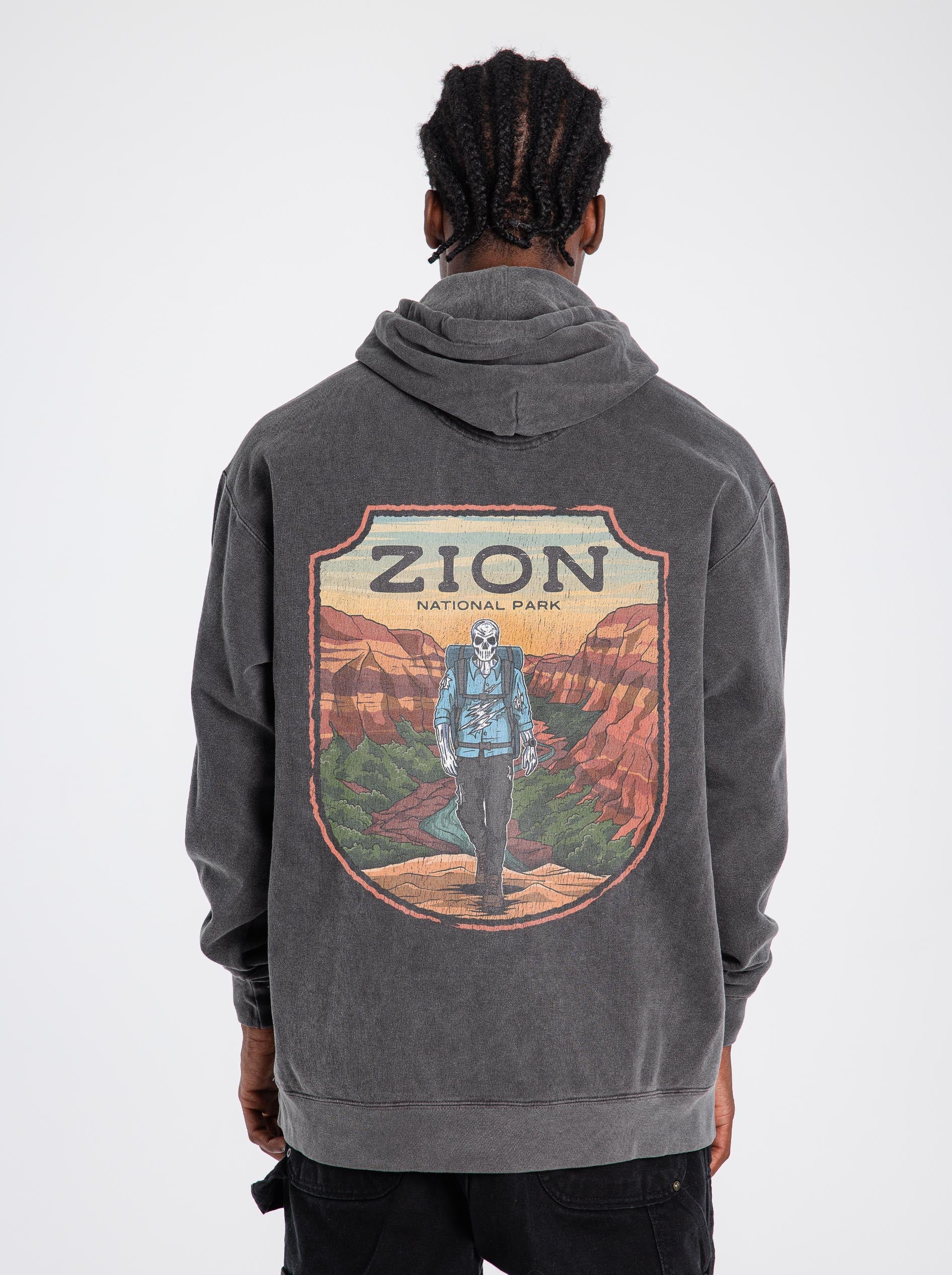 ZION NATIONAL PARK (MALE) - “DT ESSENTIAL" HOODIE – Hoodie – Dead Threads Apparel
